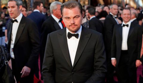 There is a new beetle species that has been named after Leonardo DiCaprio
